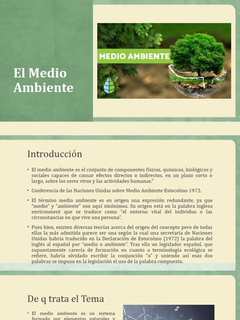 Importancia del Medio Ambiente y su Cuidado | PDF | Entorno natural ...