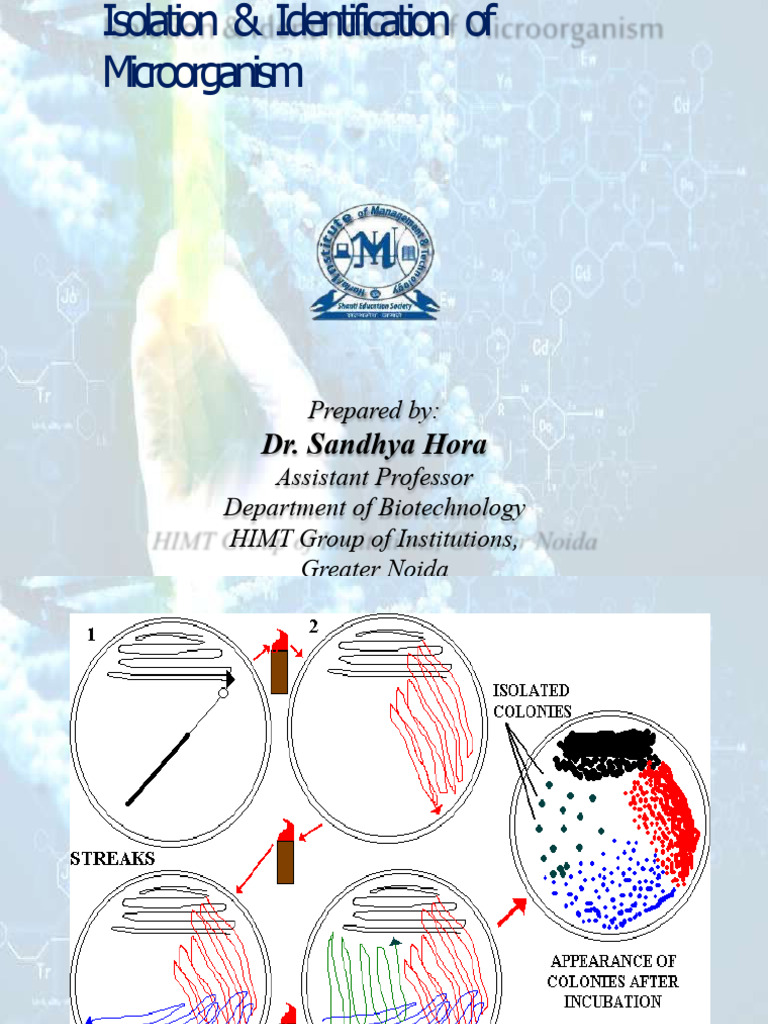 Microbial Isolation Techniques Guide | PDF | Growth Medium | Microbiology