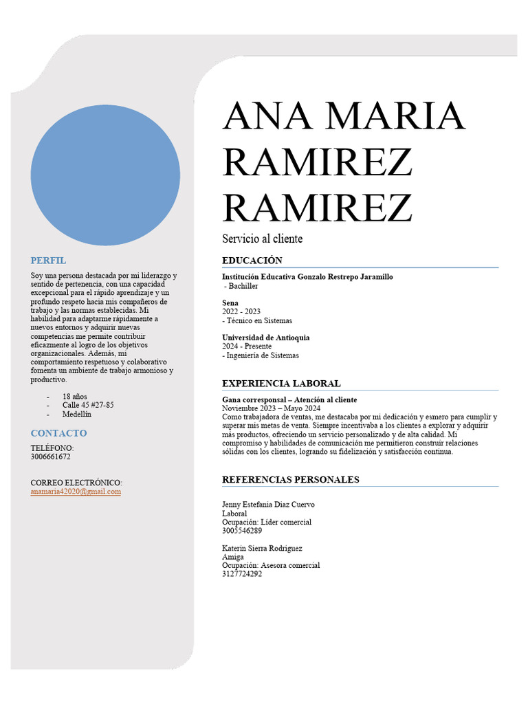 Perfil Profesional de Ana María | PDF | Negocios