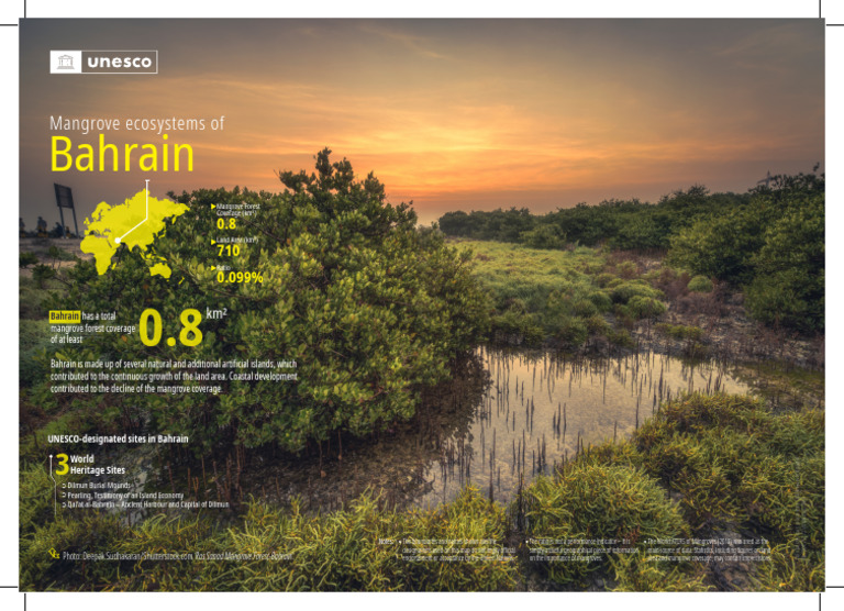 Mangrove Forest Coverage in Bahrain | PDF