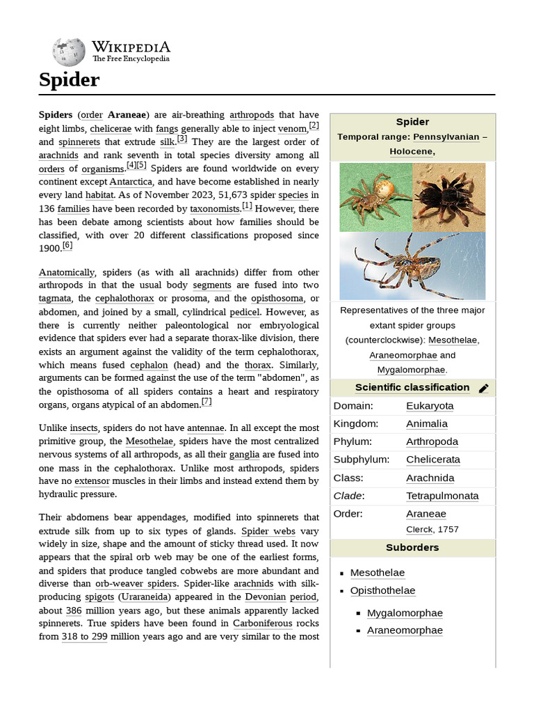 Overview of Spider Classification and Anatomy | PDF | Spider | Spider Web