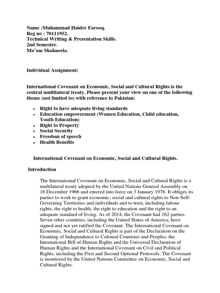 Human Rights Assignmenttt. | PDF | Freedom Of Speech | Human Rights