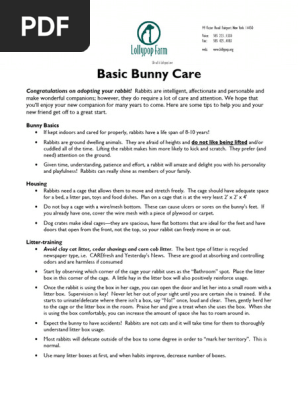 Basic Rabbit Care 1