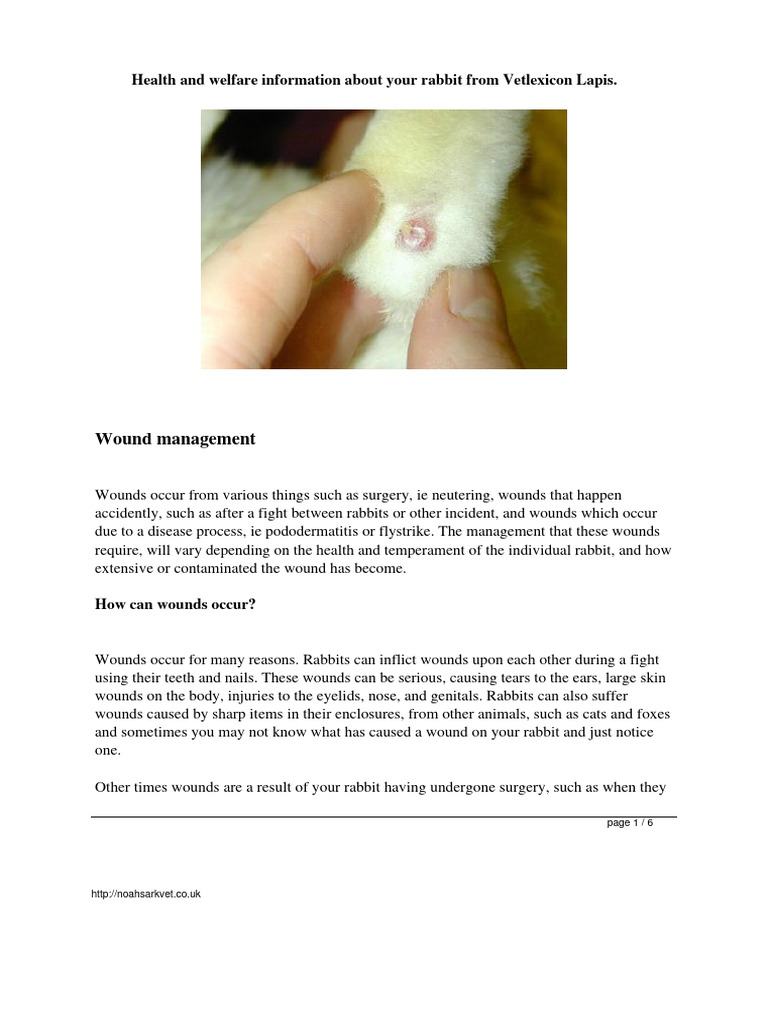 Wound_management_from_Vetlexicon_Rabbit | PDF | Wound | Surgery