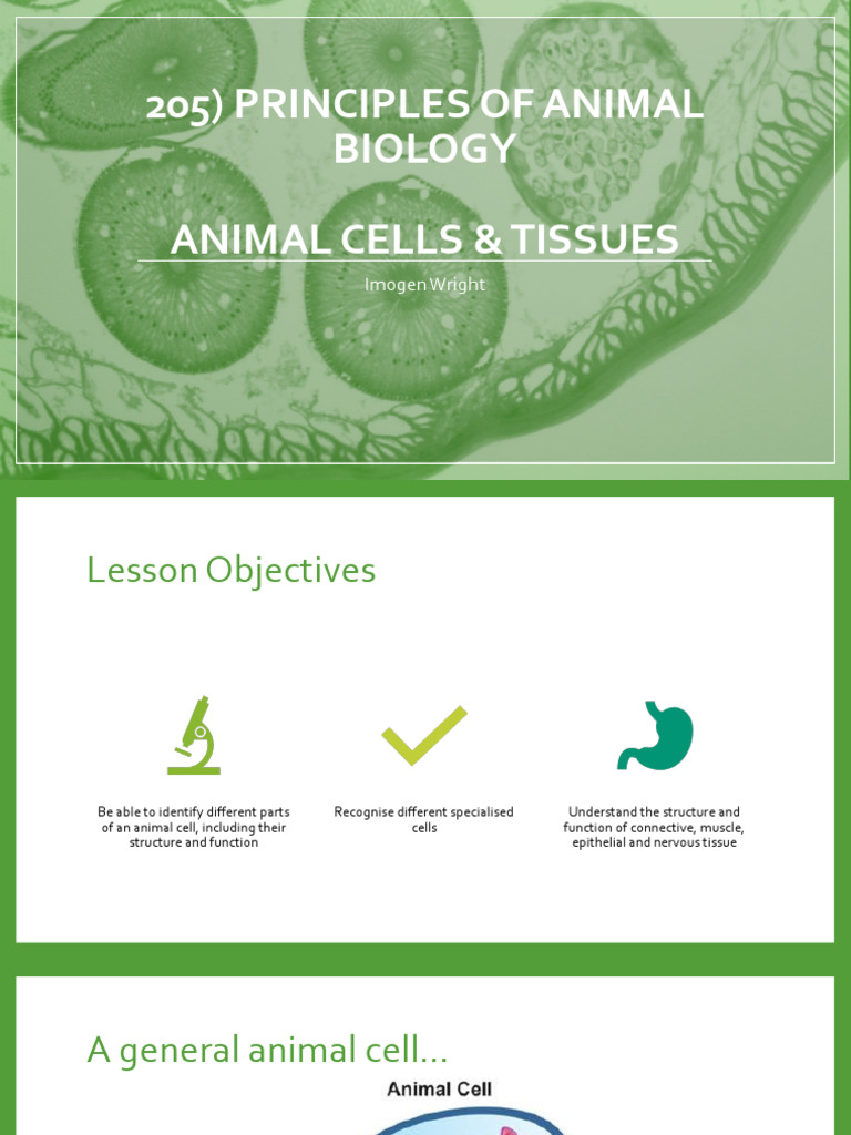 CELL AND TISSUE STRUCTURE AND FUNCTION visual data 6