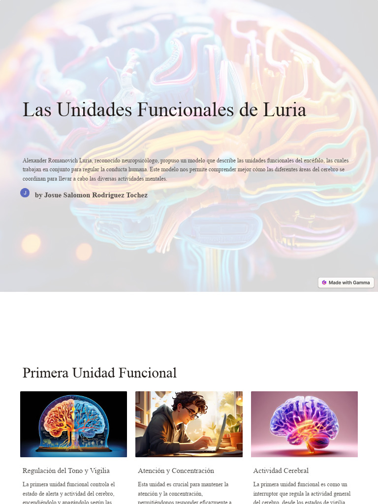 Las Unidades Funcionales de Luria | PDF