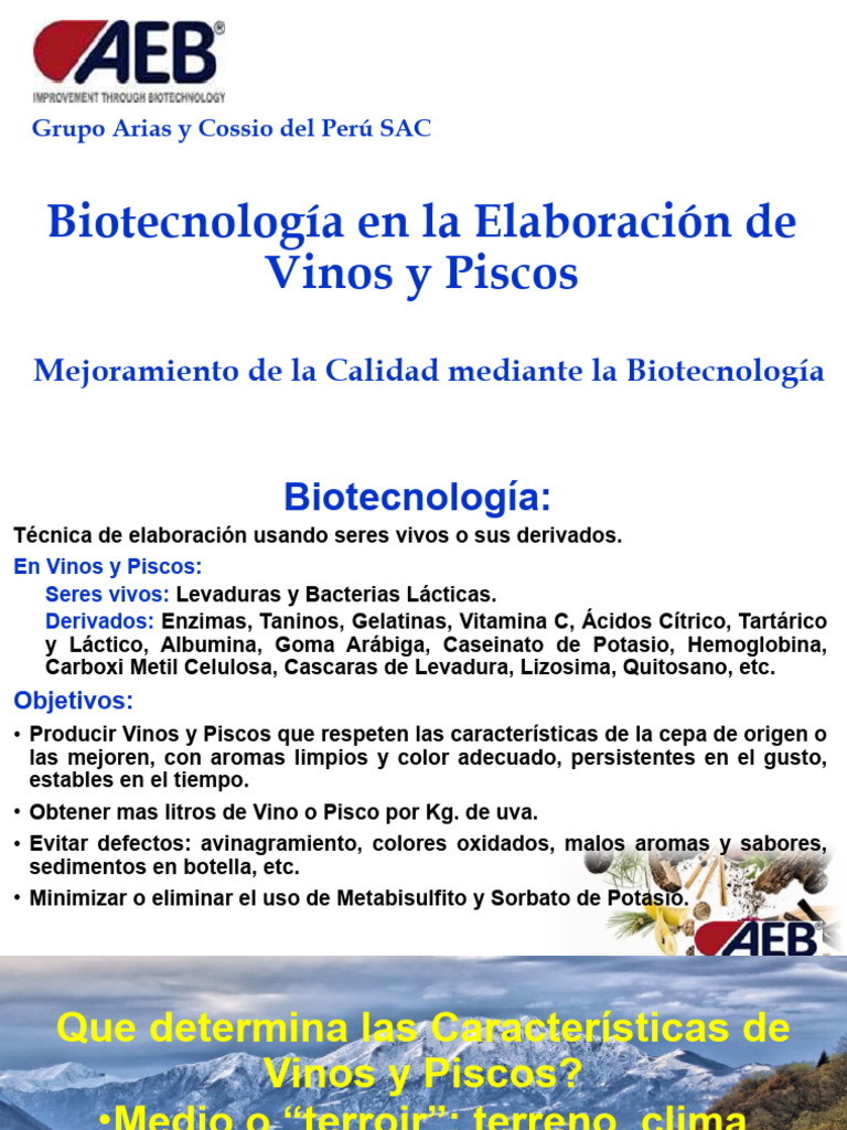 Biotecnologia en La Elaboracion de Vinos y Piscos | PDF | Vino | Uva