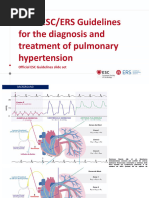Echo Research and Practice Echocardiographic Assessment of Pulmonary ...