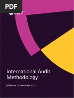 Internal Audit Manual 2025 | PDF | Internal Audit | Audit