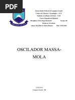 III Oscilador Massa-Mola