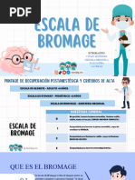 Escala de Valoracion de Bromage | PDF