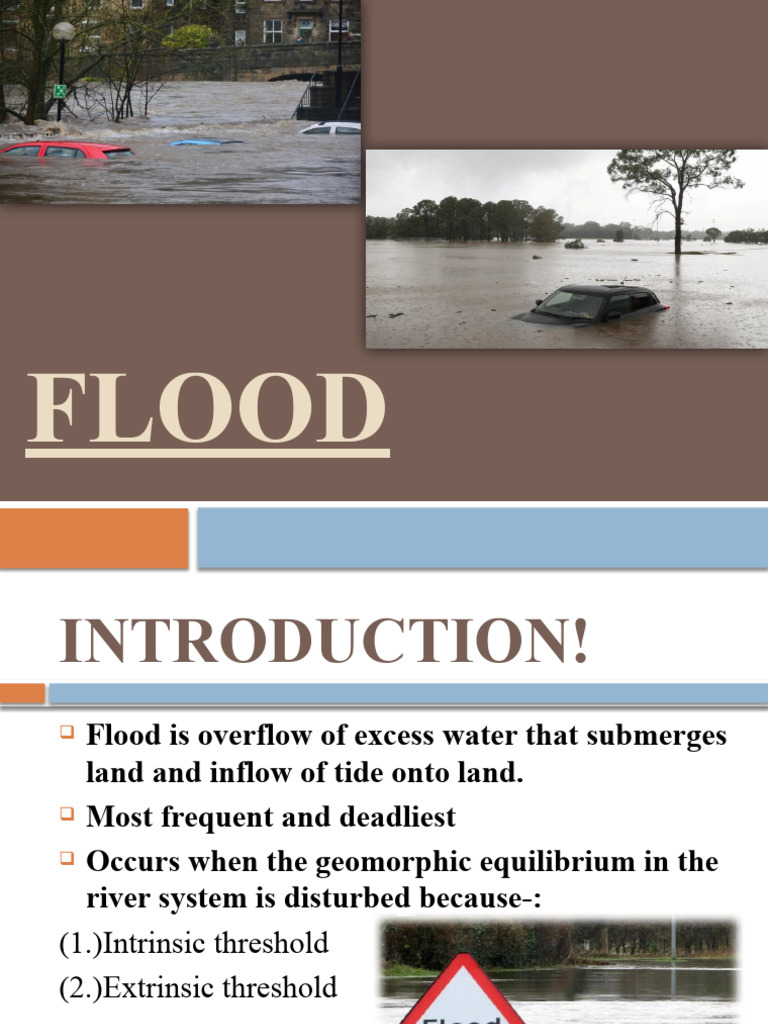 SST PPT (Flood) PDF