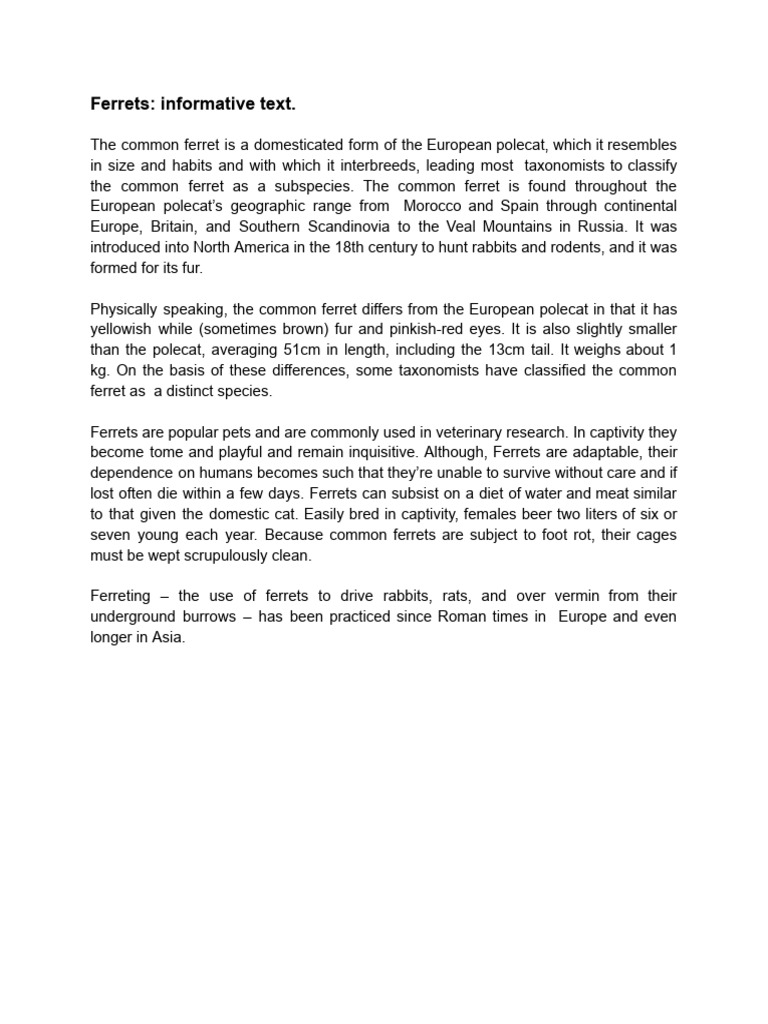 Ferret | PDF | Zoology