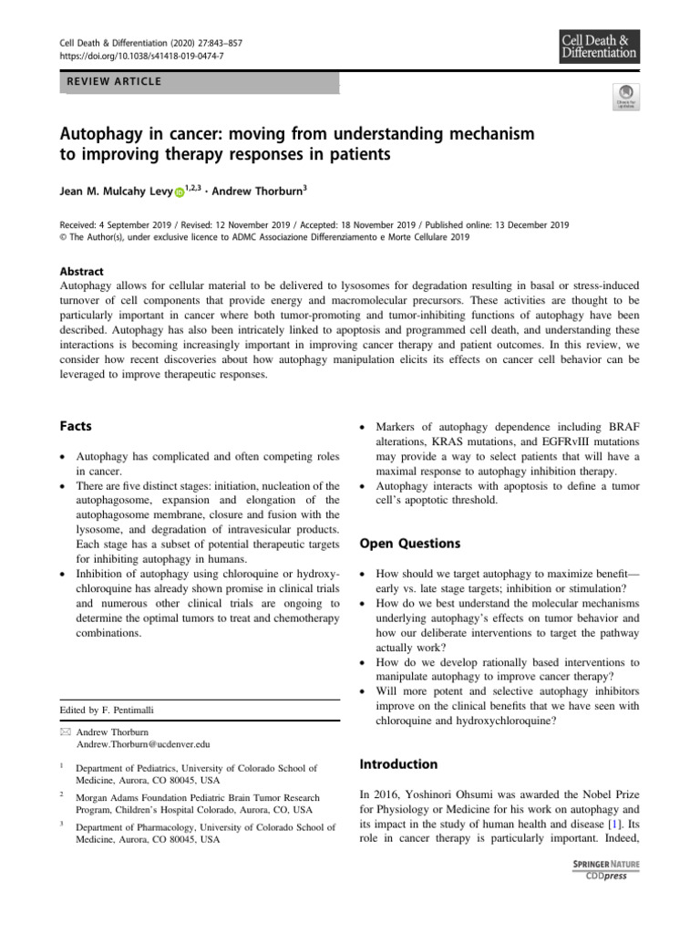 Autophagy's Role in Cancer Therapy | PDF | Autophagy | Apoptosis