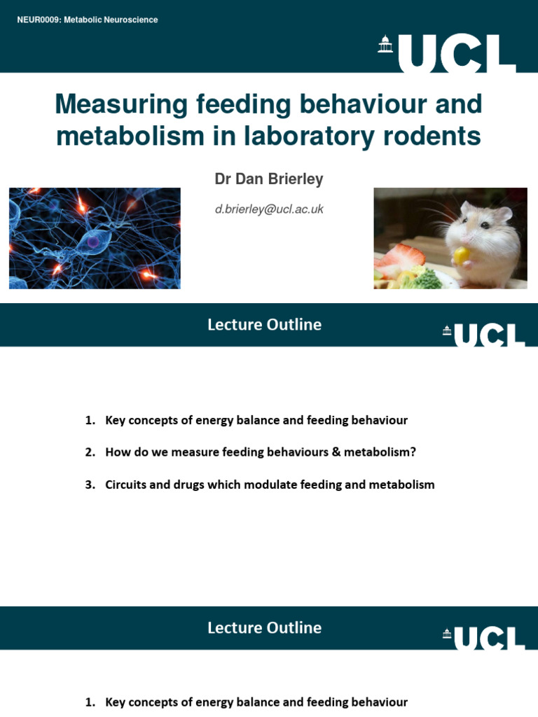 Measuring Feeding Behavior and Metabolism in Laboratory Rodent | PDF ...