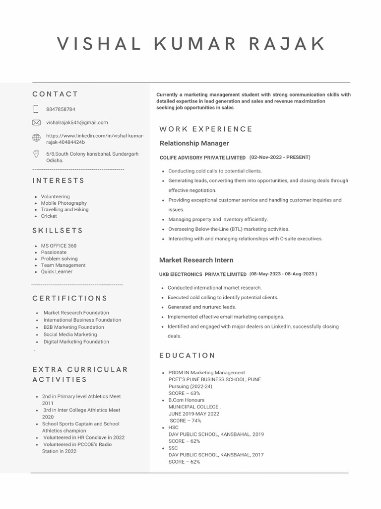 Resume Template For Marketing PDF