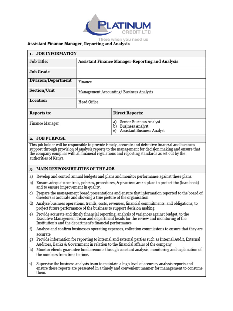 Assistant Finance Manager Job Description | PDF | Financial Analyst | Audit