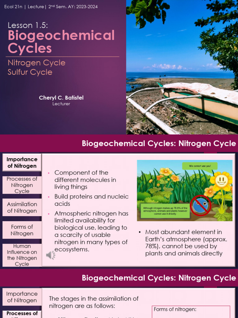 Nitrogen and Sulfur Biogeochemical Cycles | PDF | Sulfur | Nitrogen