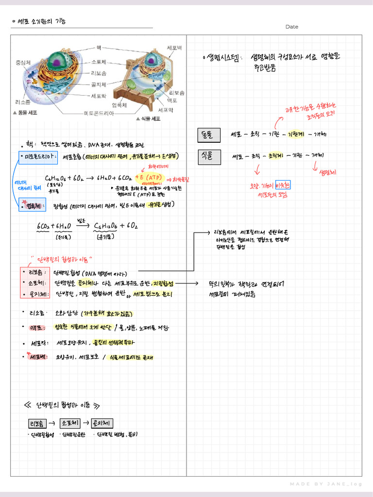 과학필기 | PDF