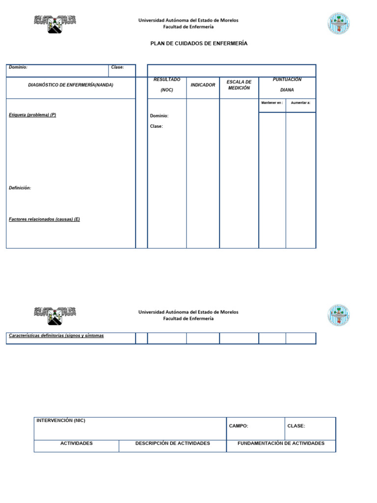 Formato de Plan de Cuidados de Enfermería | PDF