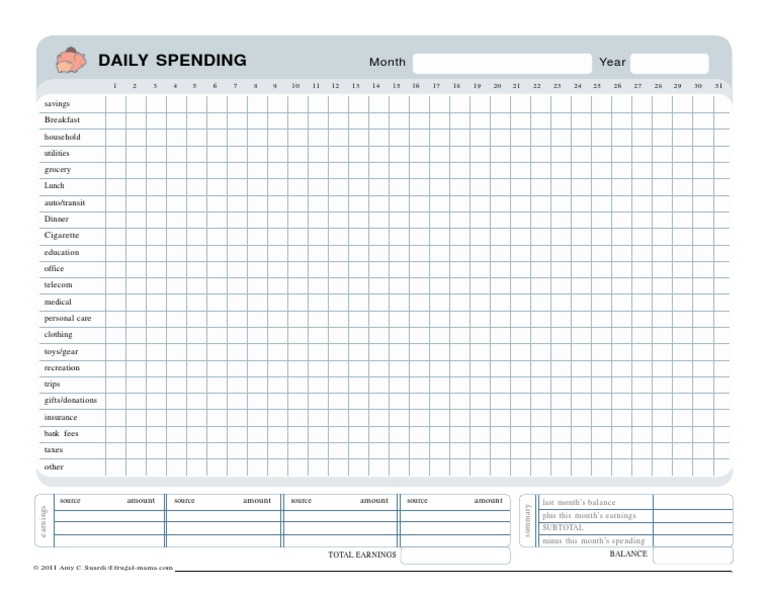 Daily Expenses | PDF