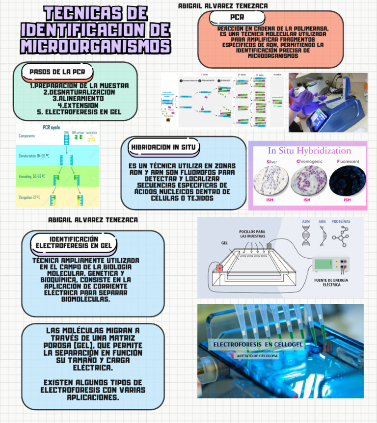 Colorful Creative Mind Map Brainstorm | PDF
