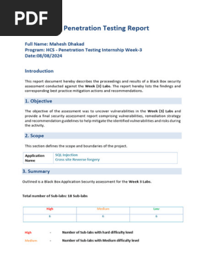 Penetration Testing Report