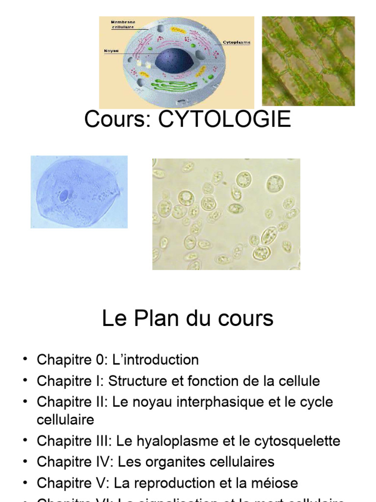 Cytologie I | PDF | Cellule (Biologie) | Membrane cellulaire