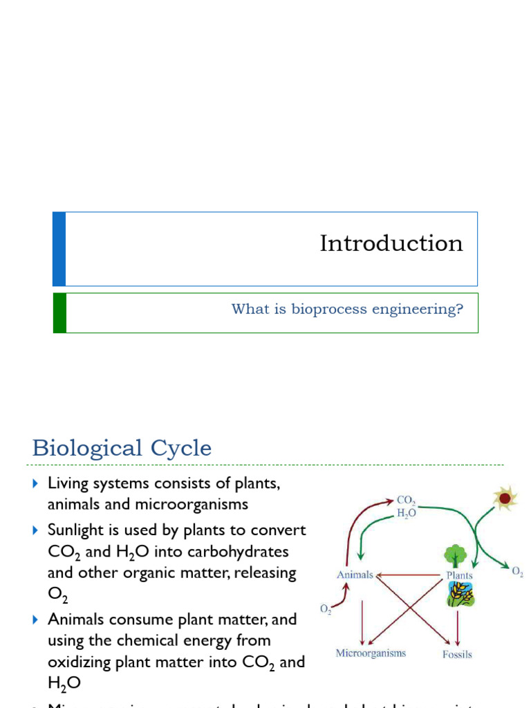 Bioprocess Engineering and Biorefinery Insights | PDF | Biorefinery ...