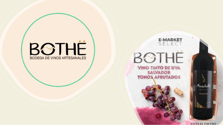 Bothe | PDF