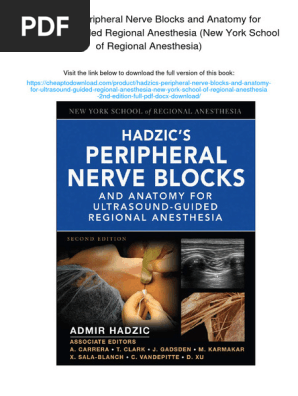 #裁断済 Hadzic's Peripheral Nerve Blocks第三版 Hadzic's Peripheral Nerve Blocks and Anatomy for Ultrasound