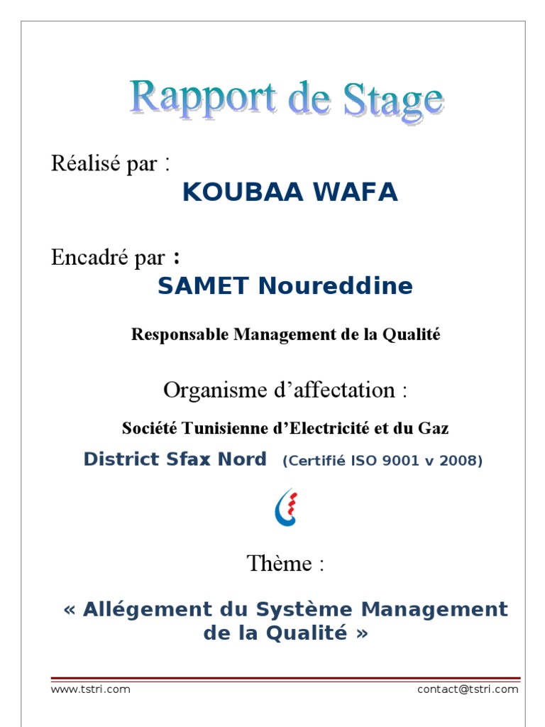 Rapport De Stage Technicien Steg Pdf