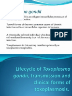 Toxoplasma gondii: An Obligate Intracellular Protozoan