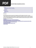 Download Anatomia radiologica  by FedericoPppzPippo SN75766918 doc pdf