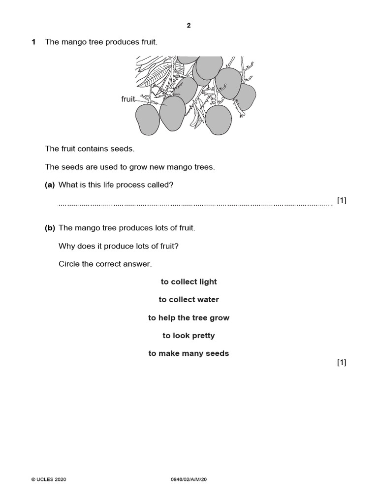 PLANTS TEST PDF visual data 6