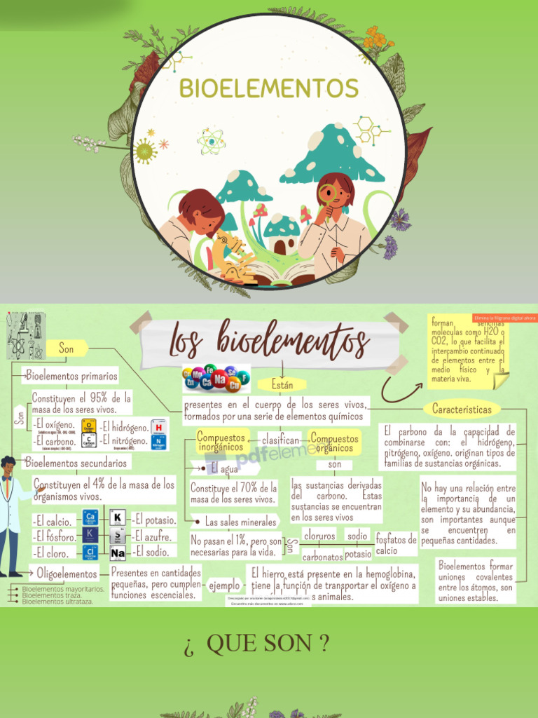 Bio Elem Ntos | PDF | Organismos | Biomoléculas