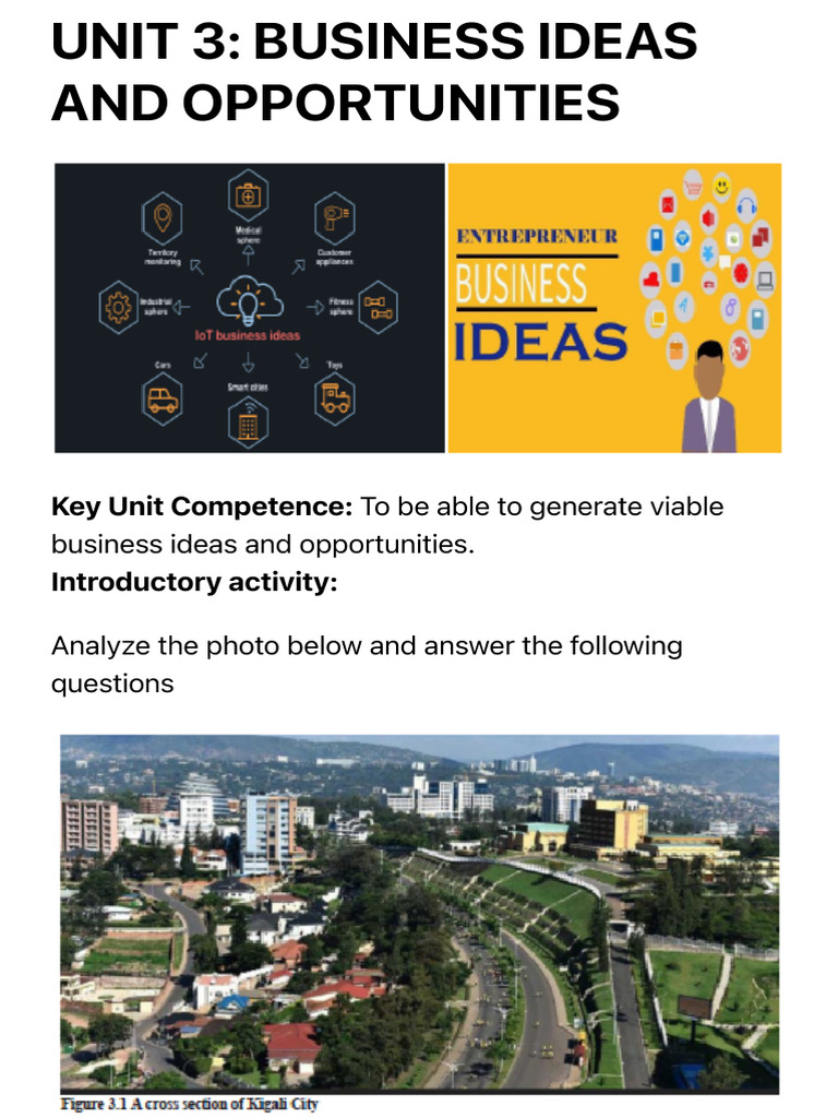 Business Ideas and Opportunities | PDF | Entrepreneurship | Startup Company
