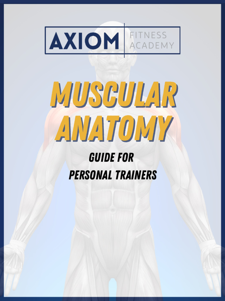 AnatomyDownload1 231017 164355 | PDF | Pelvis | Musculoskeletal System