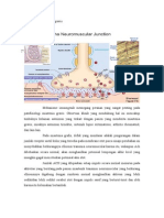 Patofisiologi Miastenia Gravis