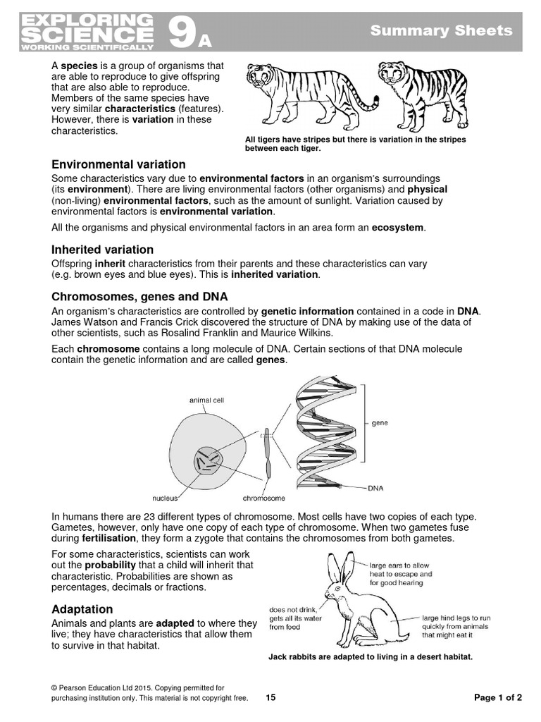 9A Summary Sheets | PDF | Genetics | Genetic Variation