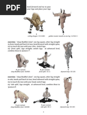 Shaolin kung fu training