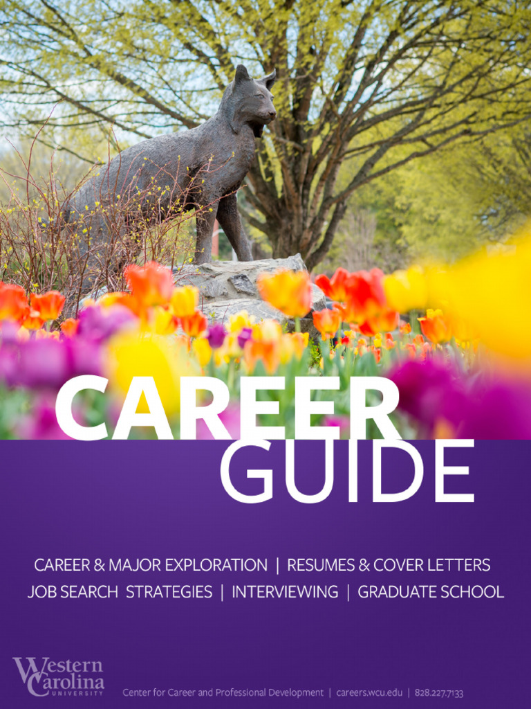 CCPD Professional Handbook PDF Résumé Internship