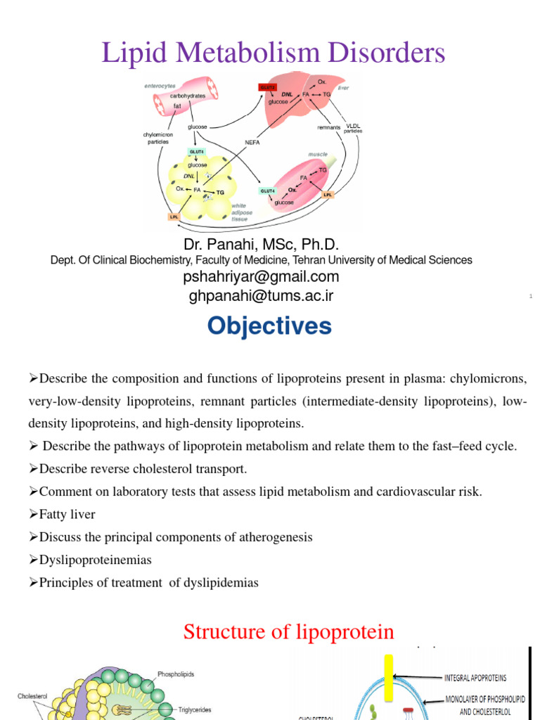 Understanding Lipid Metabolism Disorders | PDF | Lipoprotein | High ...