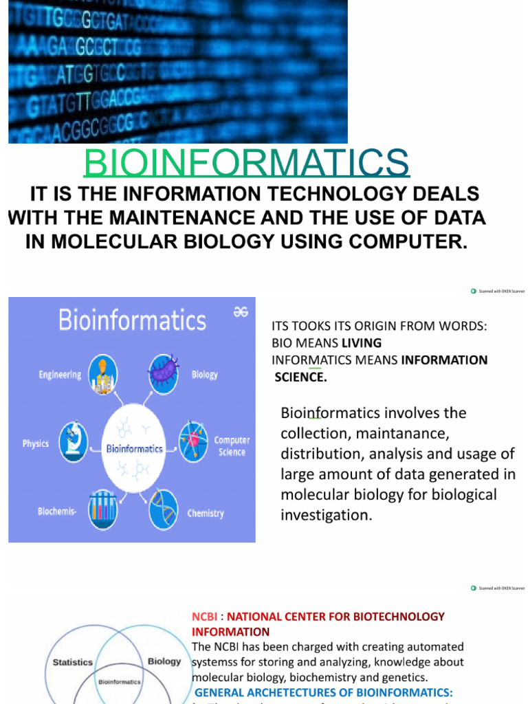 Seminar Bioinformatics | PDF