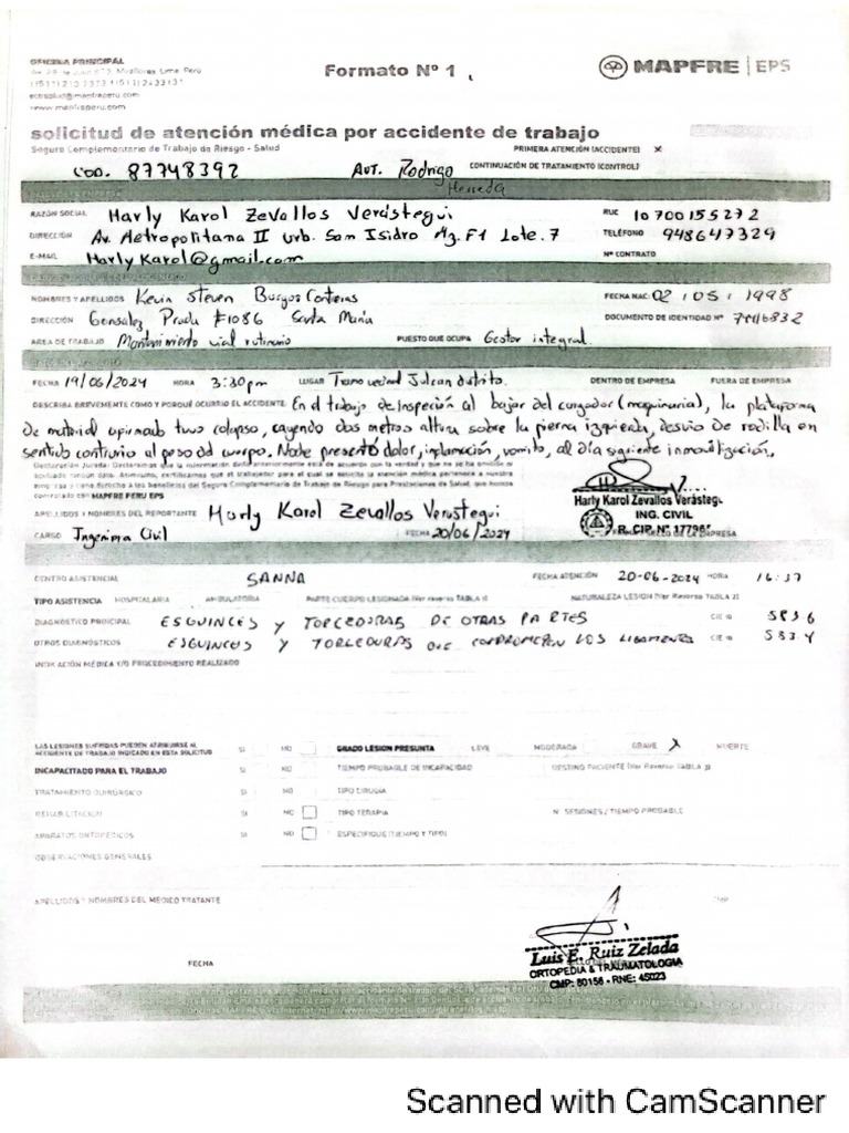 Formato SCTR | PDF