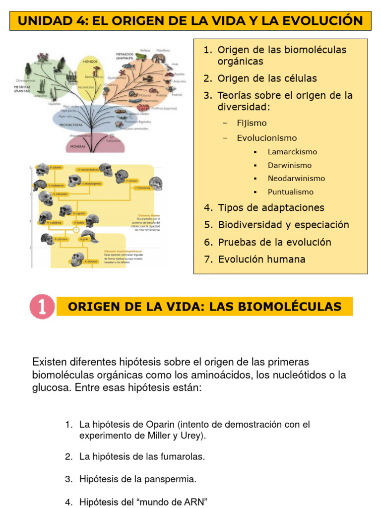 Origen de la Vida y Evolución Biológica | PDF | Evolución | Homo