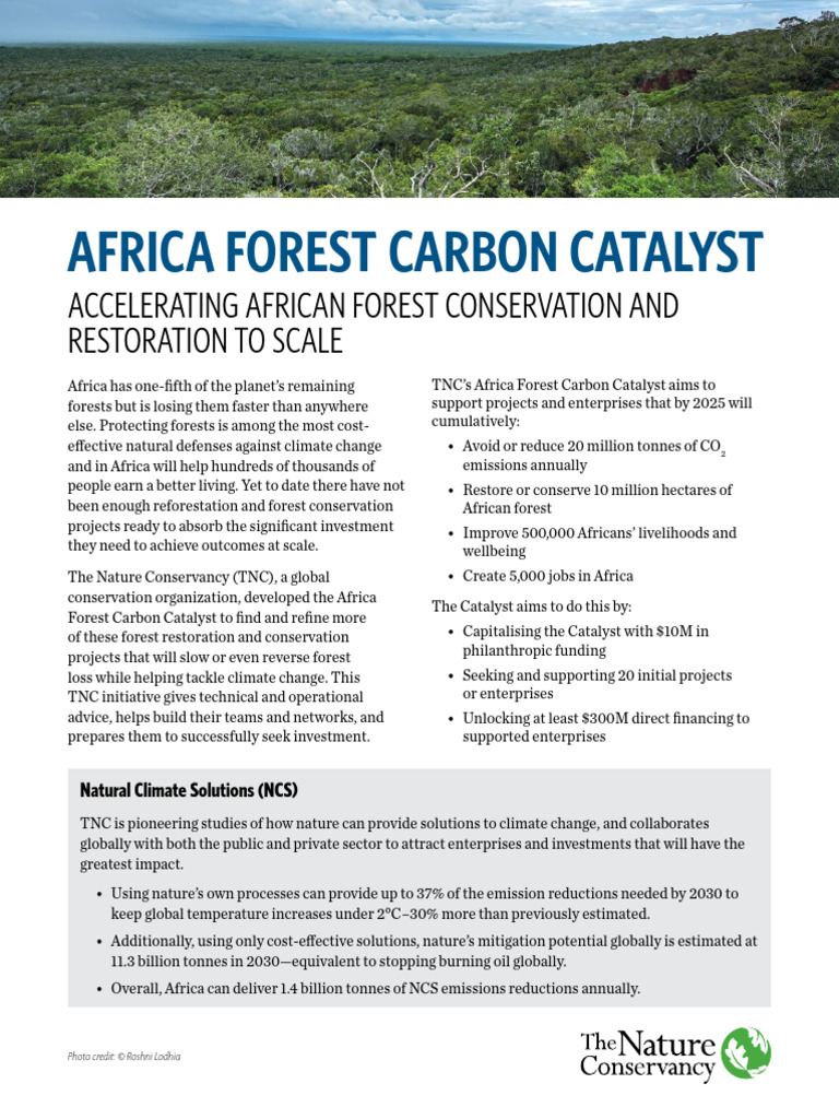 Africa Forest Carbon Catalyst Initiative | PDF | Climate Change | Forests