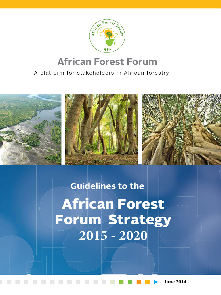 aff-strategic-plan-guidelines-2015-2020-pdf-governance-forestry