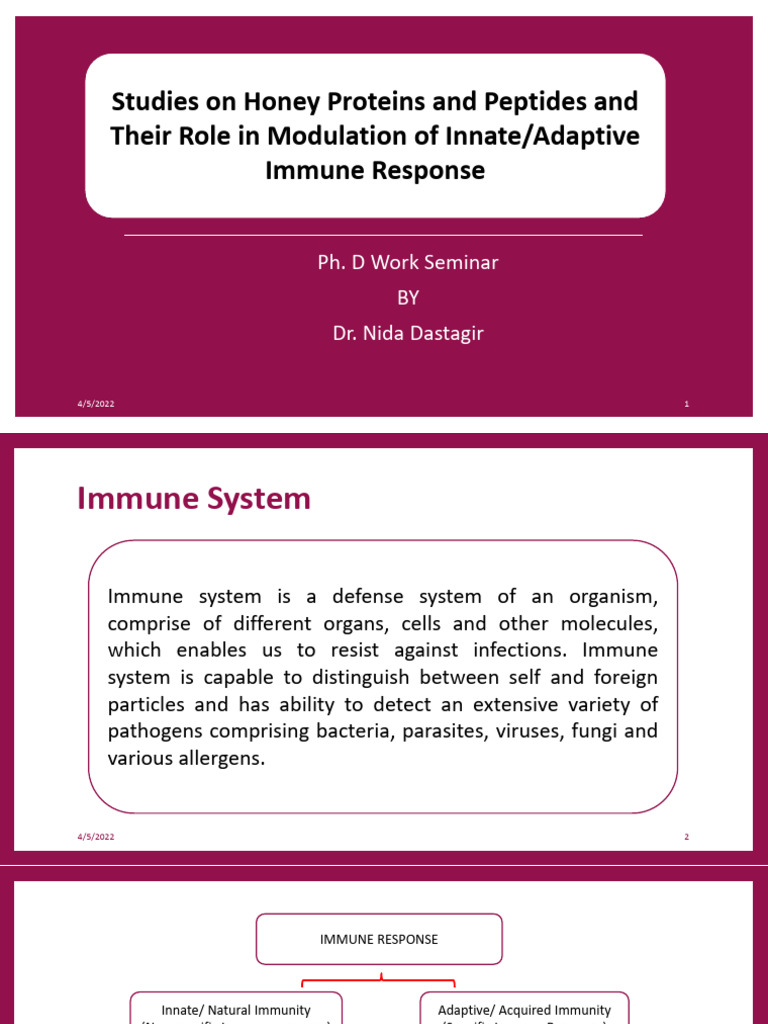 Nida Thesis Presentation | PDF | Immune System | Innate Immune System