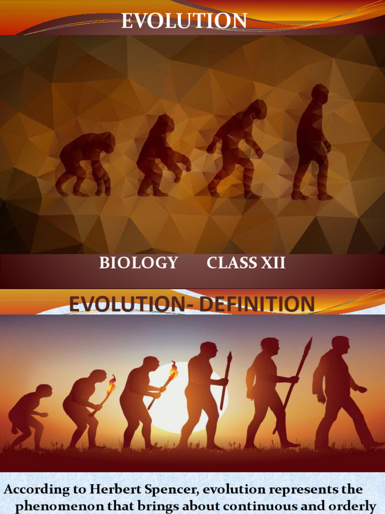 Evolution 12 | PDF | Natural Selection | Gene